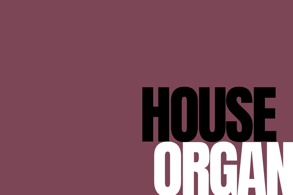 cover blog Carlo Visenti con scritta "house organ"
